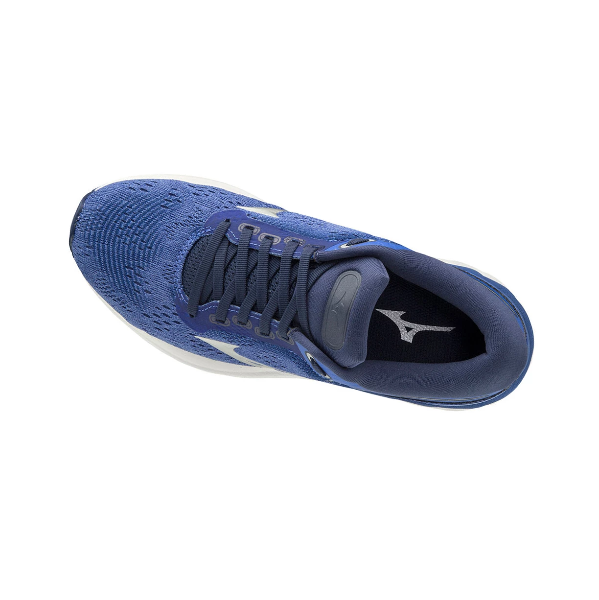 Blue/Silver Mizuno Wave Skyrise Women's Running Shoes | 109-TXQGFM