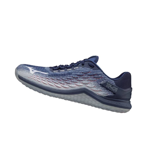 Blue Mizuno Tf-01 Men's Training Shoes | 205-EIJQZO