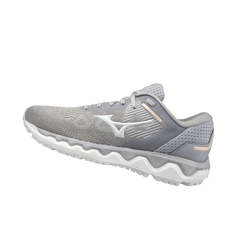 Silver/Blue Mizuno Wave Horizon 5 Women's Running Shoes | 042-EFXKVI